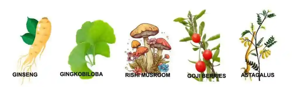 Impartant-chinese-herbals