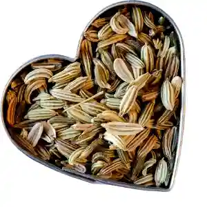 Fennel-Heart