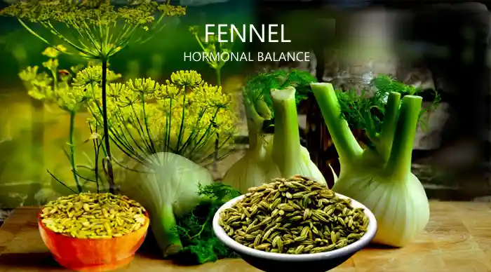 Fennel Powder