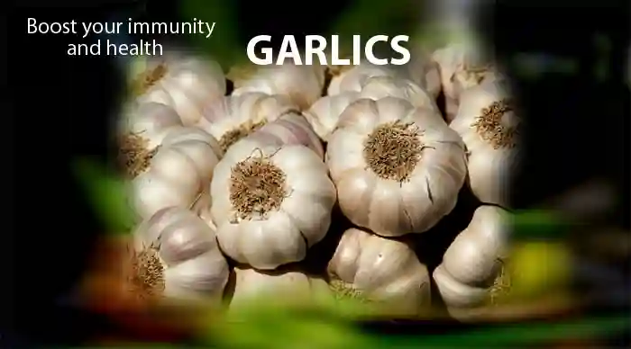 The Garlic