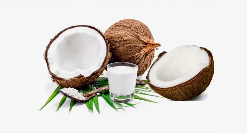 Remedies for Healing Stomach Ulcers-coconet-milk