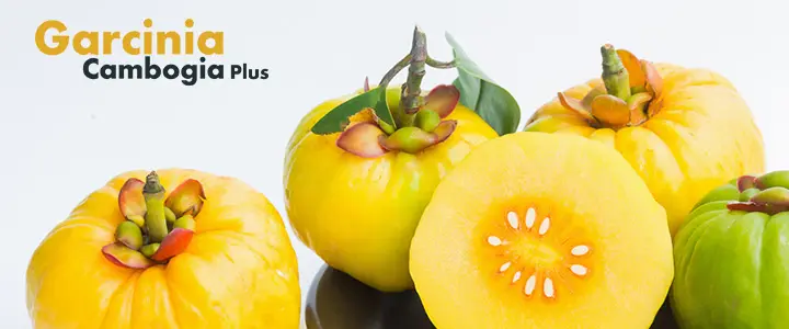 Garcinia Cambogia-for weight-loss