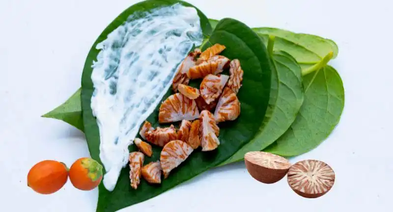 Betel nut