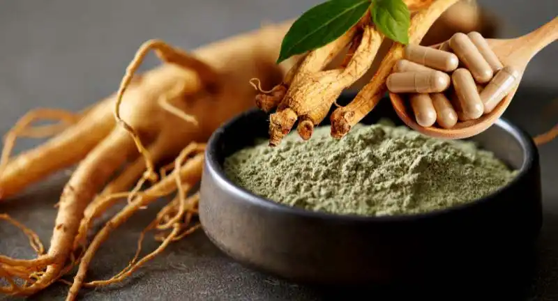 Ginseng root