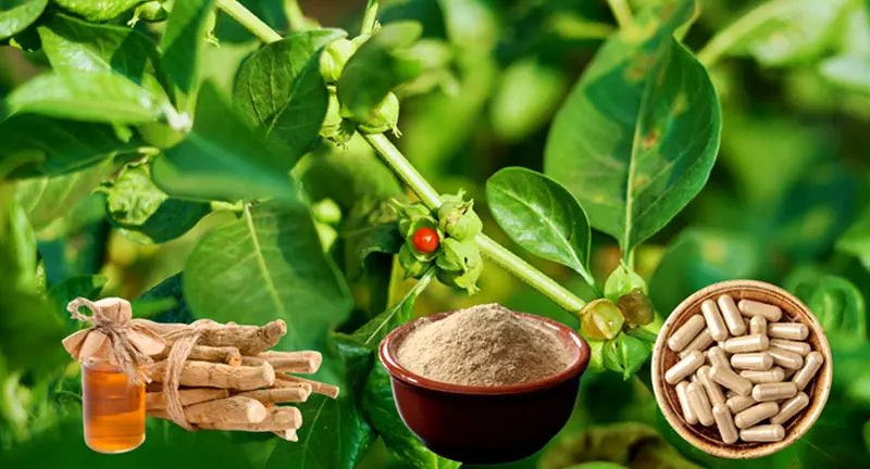 Ashwagandha