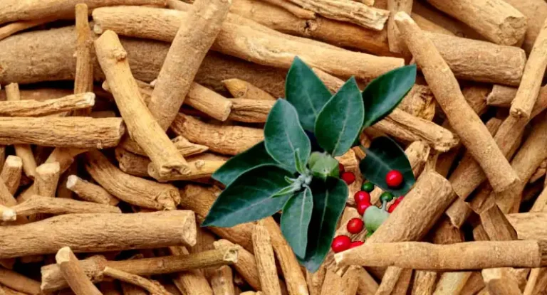 Ashwagandha