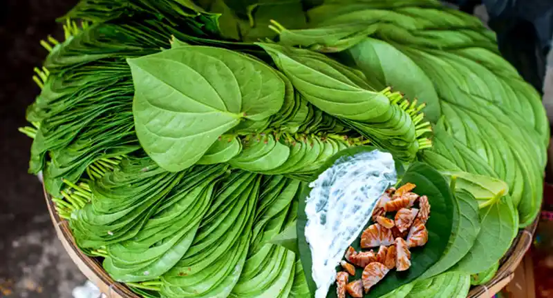 betel leaves