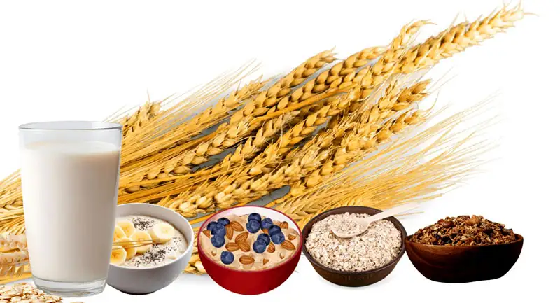 Oats for Heart Health