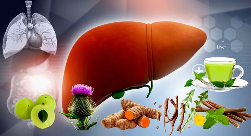 Liver health