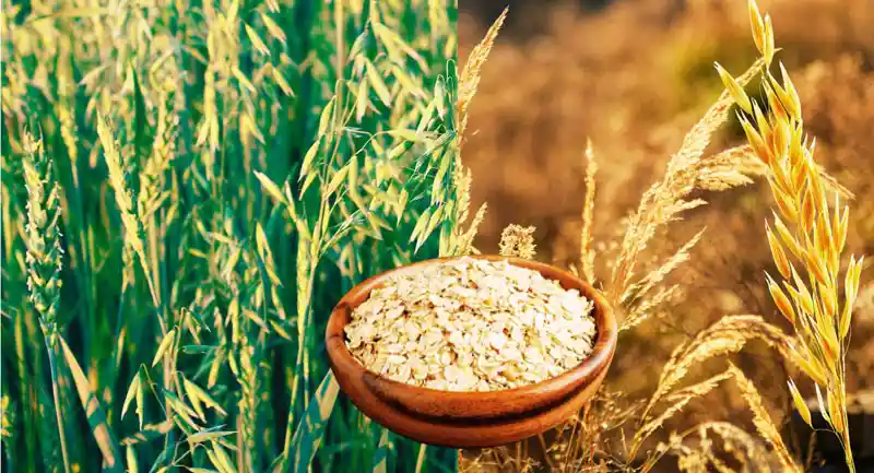oats-health-benefits