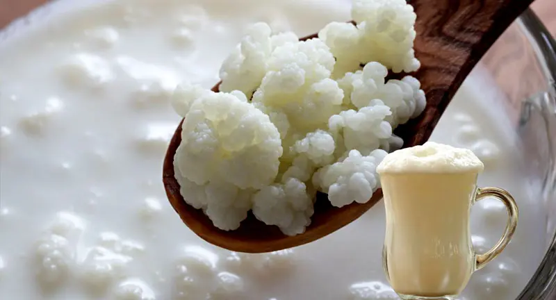 Kefir
