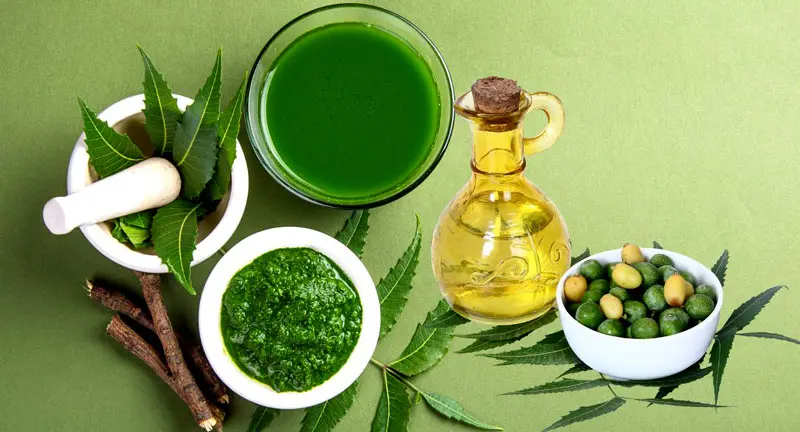 Neem (Azadirachta indica)