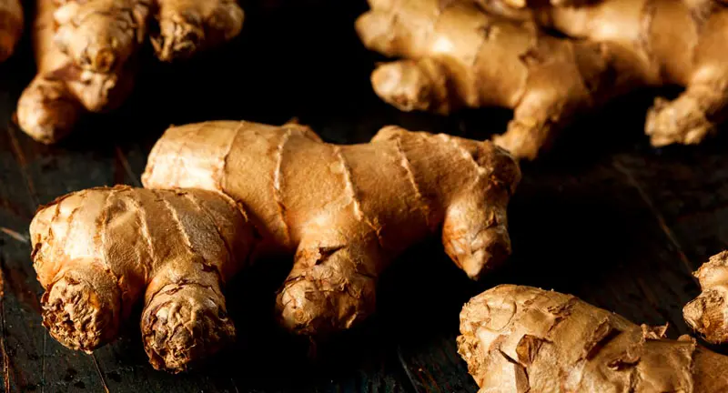 Dry Ginger