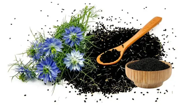 Benefit of Black Cumin Seeds