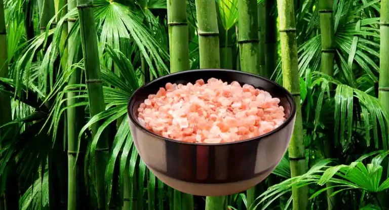 Bamboo Salt (Jukyeom)-Health Benefits, Nutrition, Origins & Modern Uses