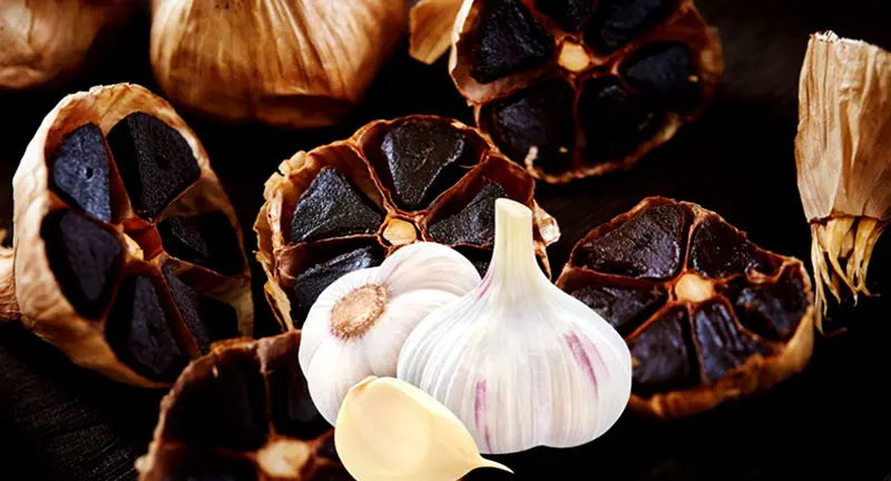 Black Garlic