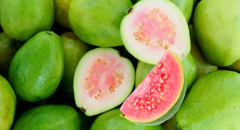 benefits of guava