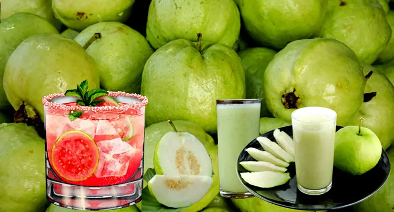 benefits of guava